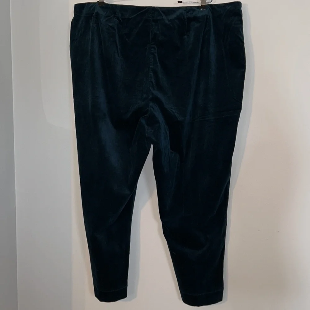 NWT Gorgeous Peacock Velveteen Audrei Pants Size 24​​